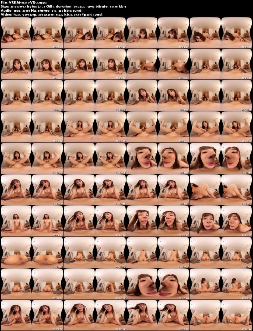 VRKM 01311 VR 3