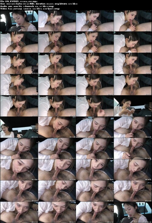UN KVIDEO 15112024 0957
