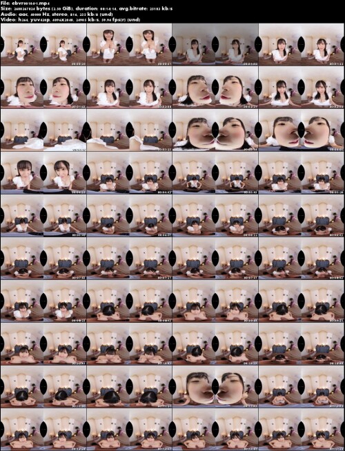 ebvr00104 1