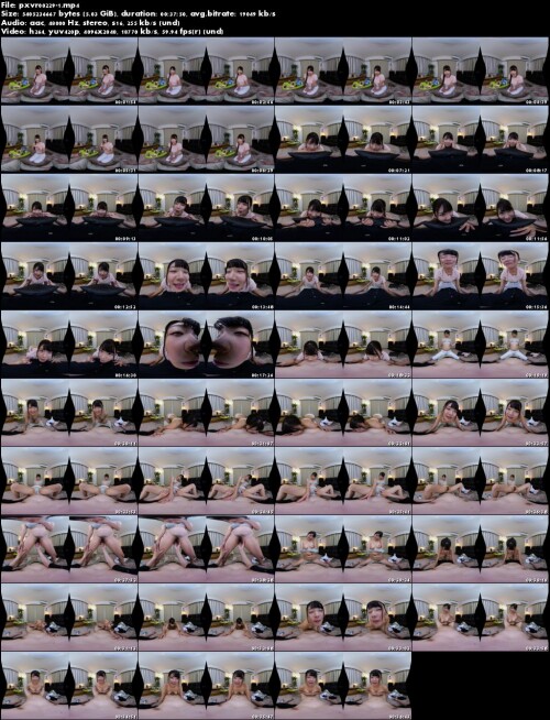 pxvr00229 1