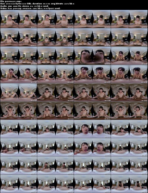 pxvr00229 2