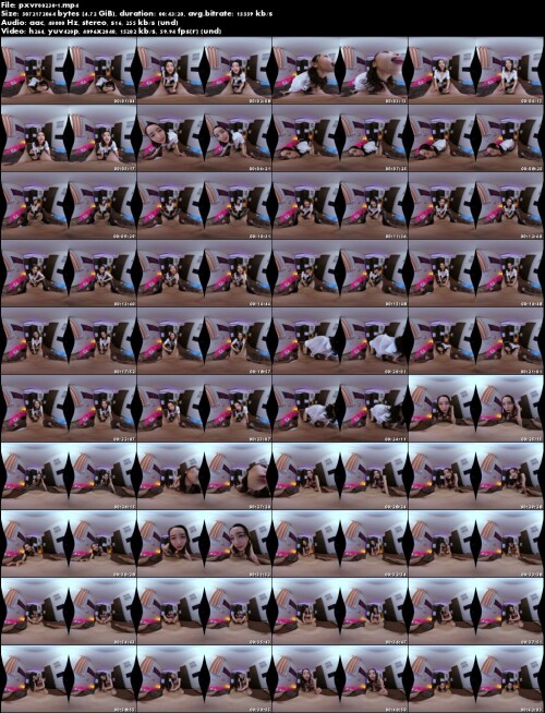 pxvr00230 1