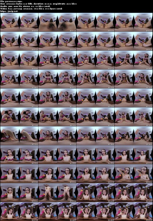 pxvr00230 2