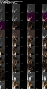 UN_KVIDEO_02022025_0048.th.jpg