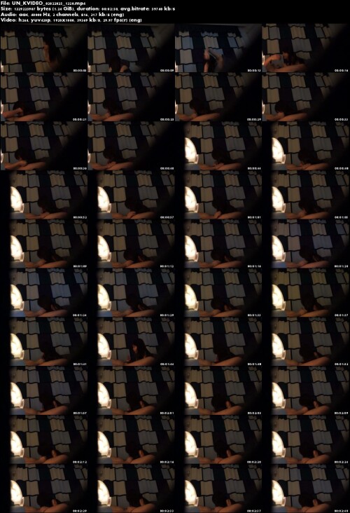 UN KVIDEO 02022025 1320