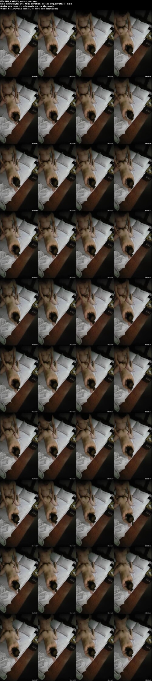 UN KVIDEO 03022025 0087