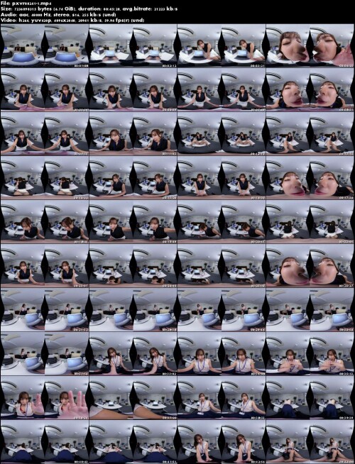 pxvr00241 1