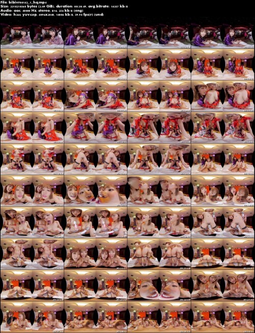 bibivr00142 1 hq