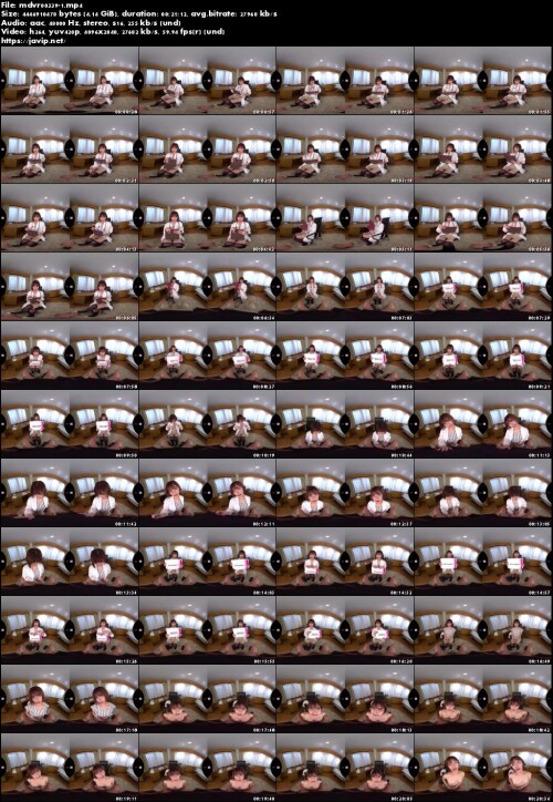 mdvr00339 1