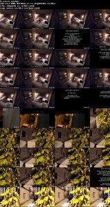 UN_KVIDEO_03032025_0388.th.jpg