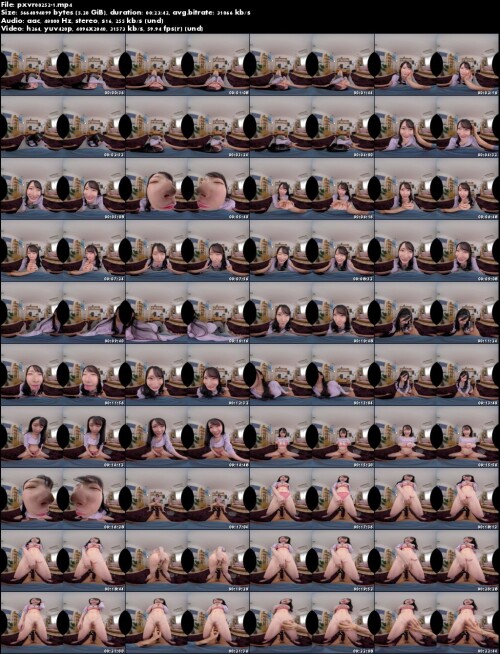 pxvr00252 1