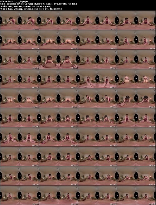 mdvr00341 4 hq