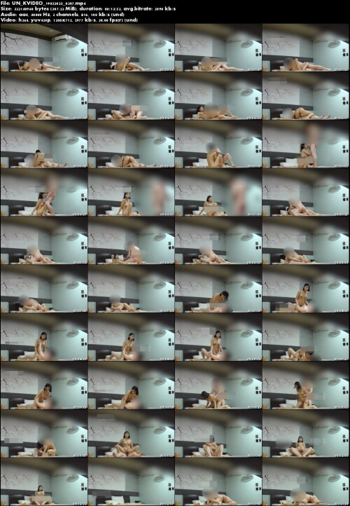 UN KVIDEO 19032025 0307