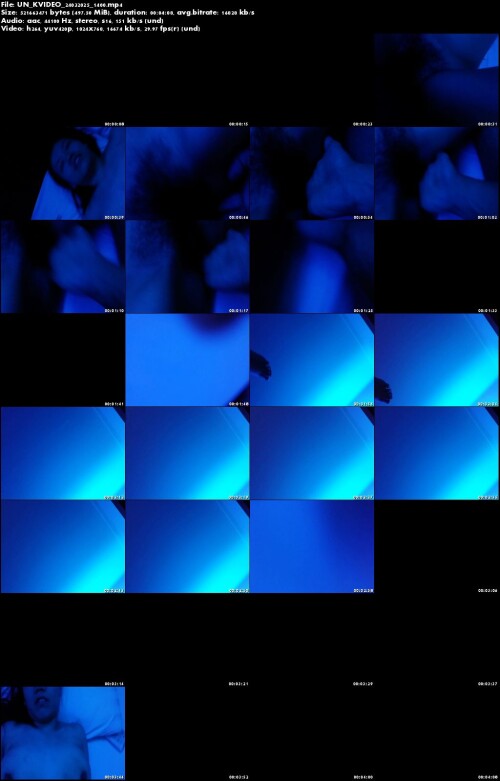 UN KVIDEO 24032025 1400