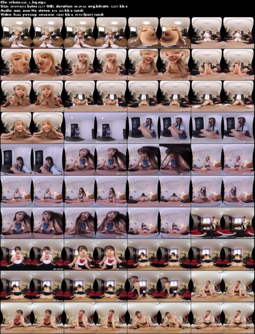 vrkm01529 1 hq