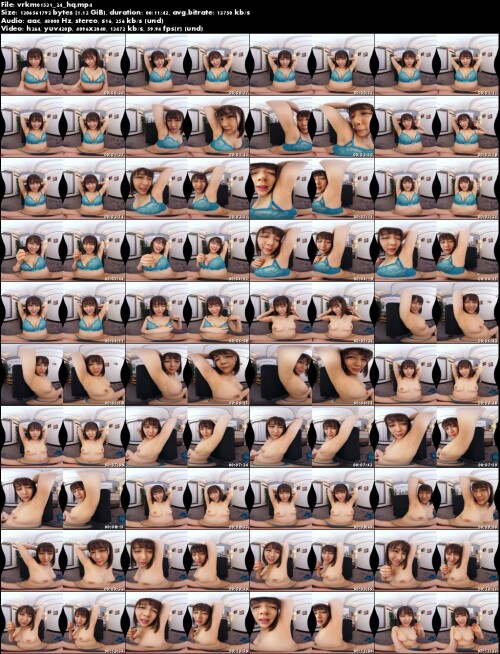 vrkm01531 24 hq