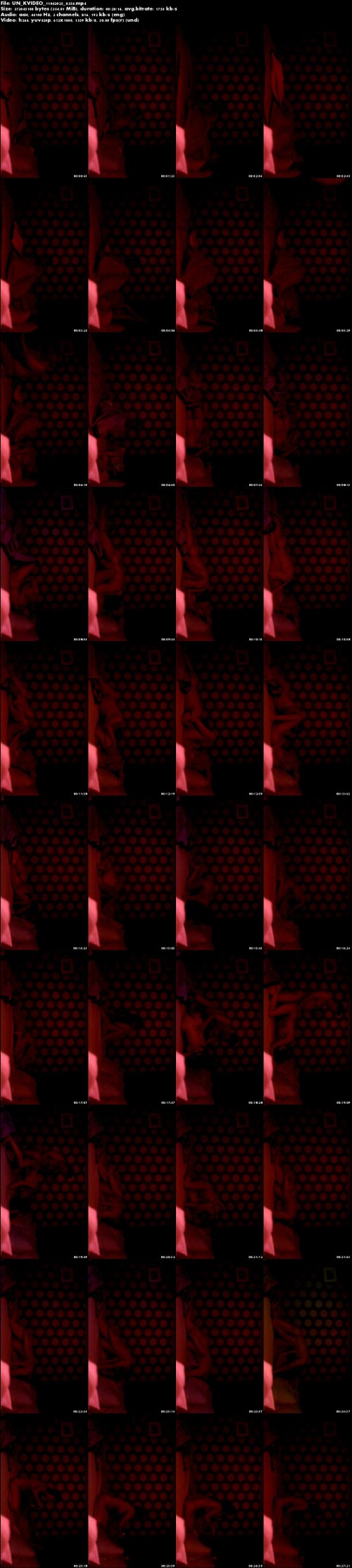 UN KVIDEO 11042025 0354