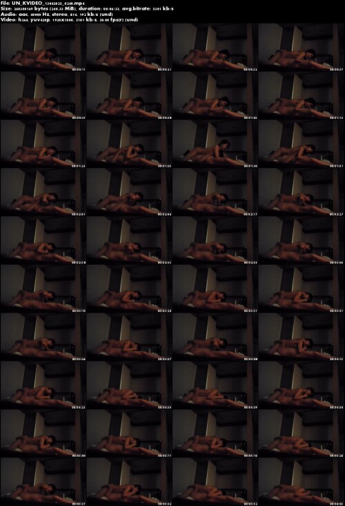 UN KVIDEO 13042025 0248