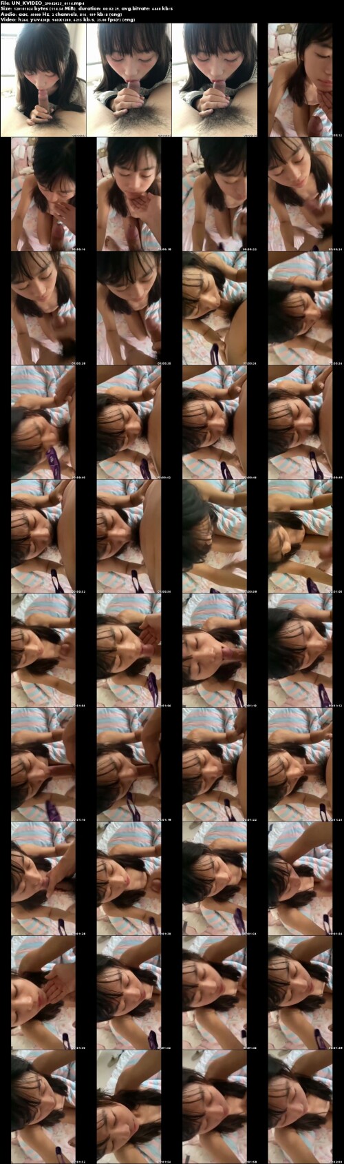 UN KVIDEO 29042025 0114