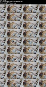 UN_KVIDEO_17052025_0559.th.jpg