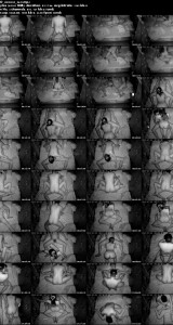UN_KVIDEO_28052025_0635.th.jpg