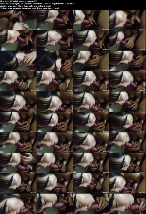 UN KVIDEO 28052025 1003
