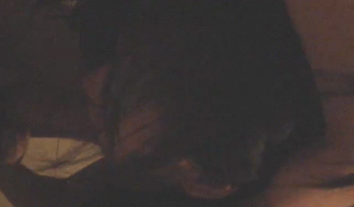 30052025_0024.png