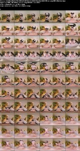 VRCosplayX.25.06.19.Indica.Marie.The.Wheel.Of.Time.A.XXX.Parody.XXX.VR180.1440p.MP4-Narcos.th.jpg