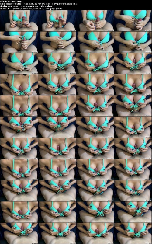FC2 1336812 2