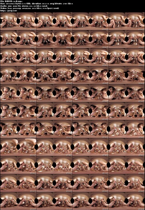 BIBIVR 156 B