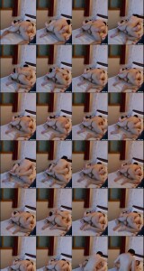 UN_KVIDEO_27082025_0217.th.jpg