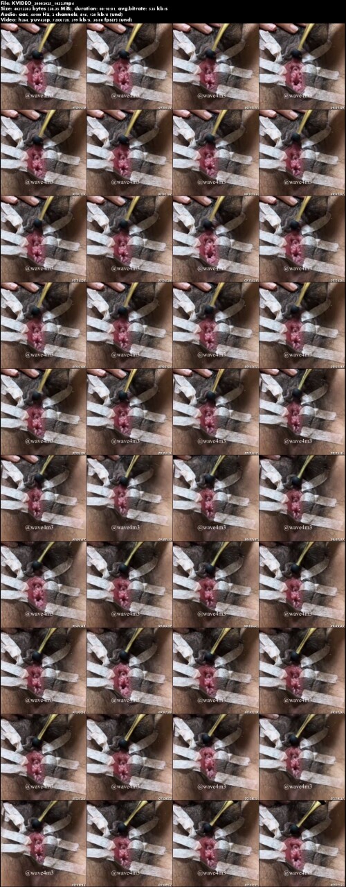 KVIDEO_30082025_1032.jpg