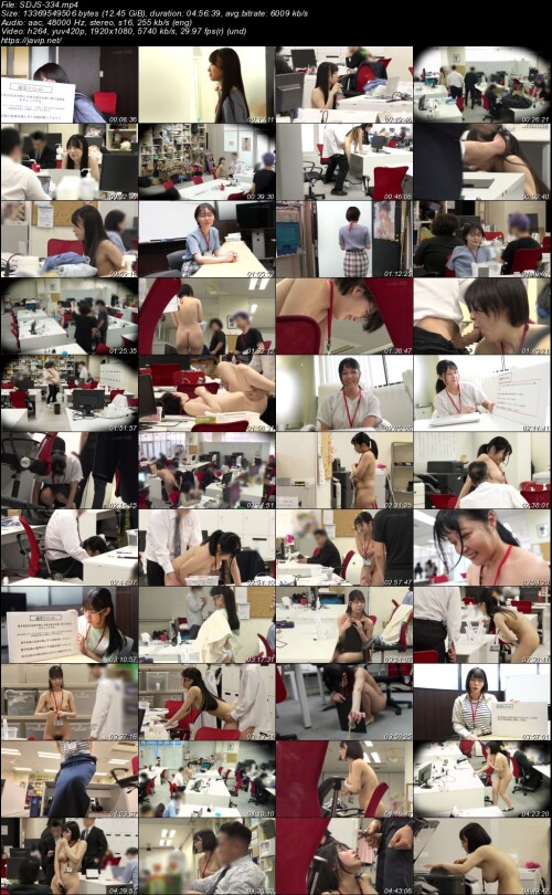 SDJS-334.jpg