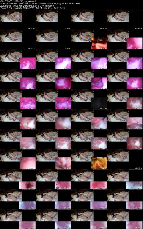 FC2PPV 4592208 sp 4K