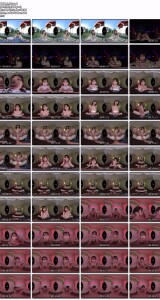 sivr00490_1_8k.mp4.th.jpg