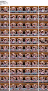 13dsvr01995_4_8k.mp4.th.jpg